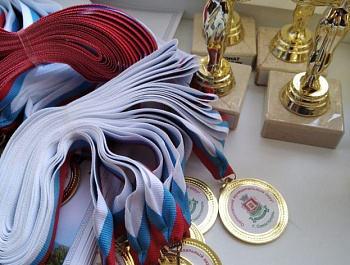 Прошёл чемпионат по Флорболу