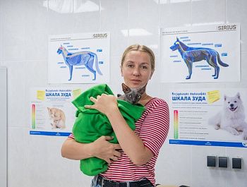 Специалисты госветклиники рассказали, как адаптировать новое животное в семье, где уже есть взрослый питомец