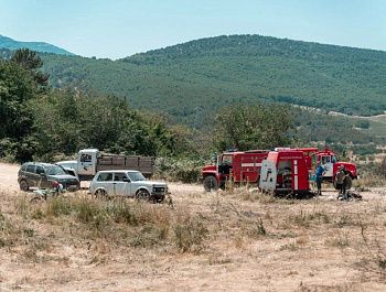 Лесной пожар, возникший в окрестностях Севастополя, удалось локализовать