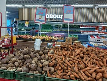 В Севастополе продолжается еженедельный мониторинг цен: за неделю снизились цены на картошку, капусту, лук, морковь и свеклу