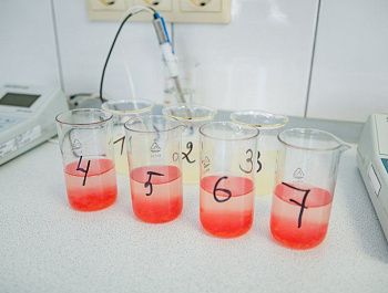 Госветслужба Севастополя ежедневно контролирует безопасность продуктов на официальных рынках
