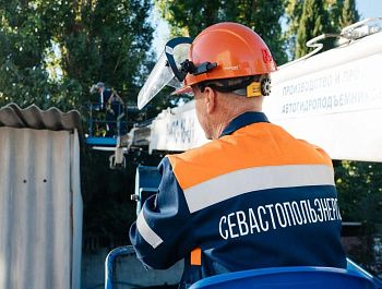 Специалисты «Севастопольэнерго» выполняют аварийную обрезку деревьев у линий электропередачи